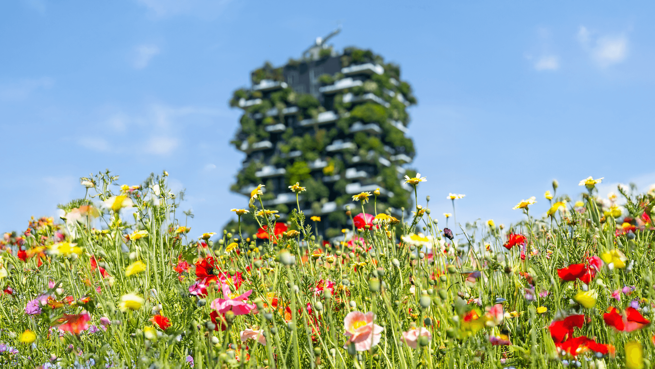 Fragranze di primavera: le note olfattive che celebrano la nuova stagione