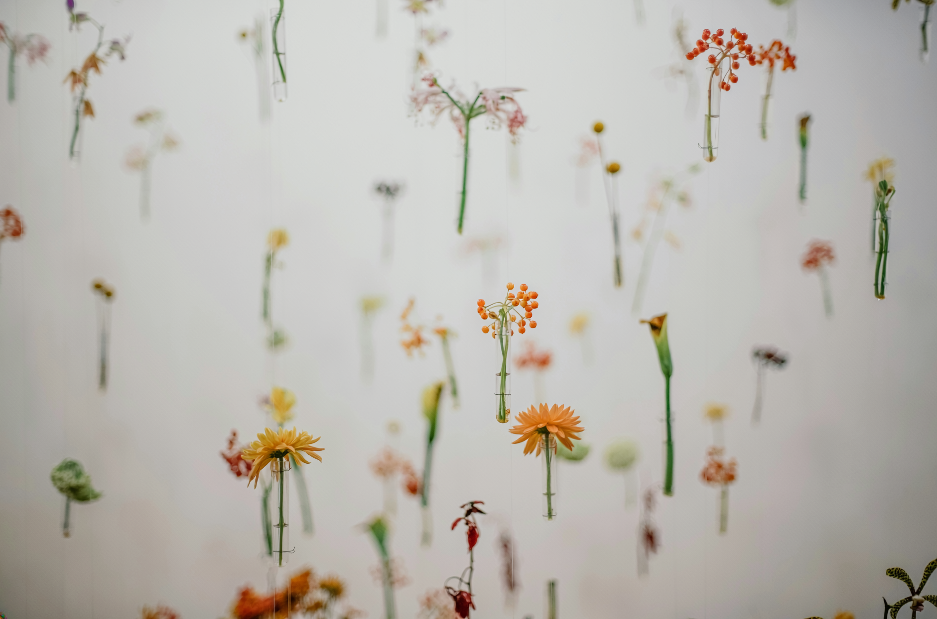 Fragranze d’ambiente: come trovare quella perfetta per te o per un regalo