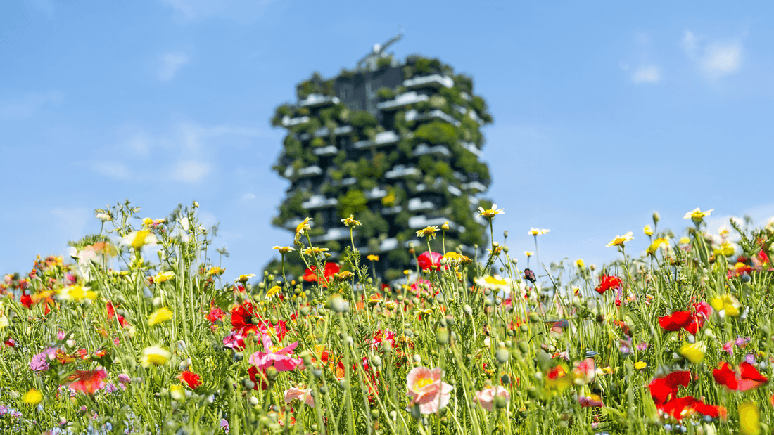 Fragranze di primavera: le note olfattive che celebrano la nuova stagione